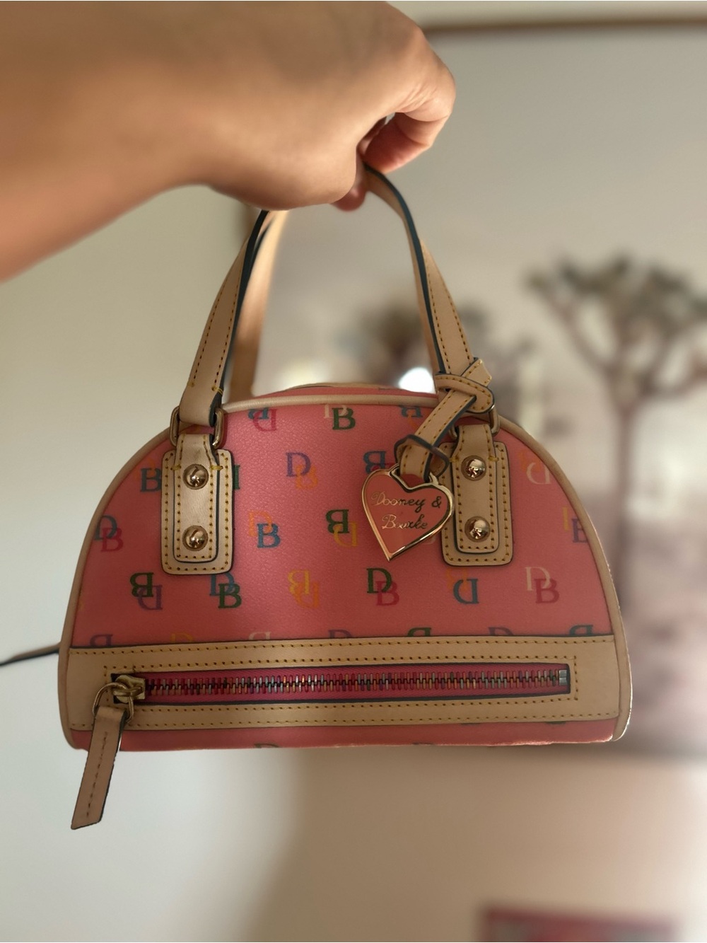 Dooney & Bourke Pink rainbow 🌈 Logo Mini Satchel